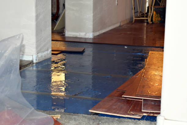 Professional Water Damage Restoration technician working in West Unity, OH